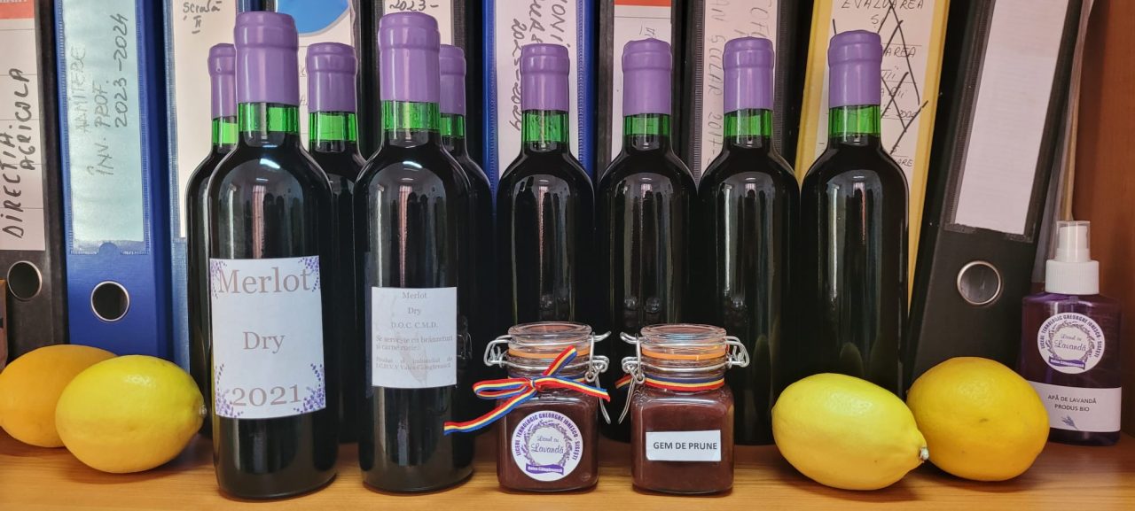 PROCESAREA FRUCTELOR ȘI LEGUMELOR BIO PRIN OBȚINEREA