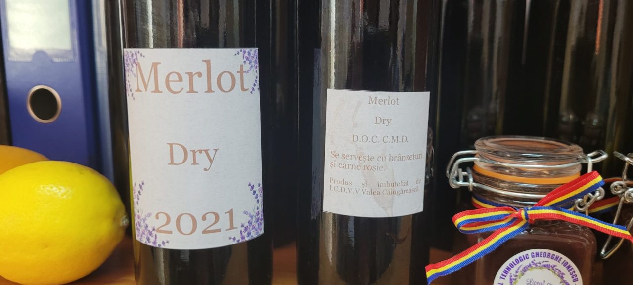 PROCESAREA FRUCTELOR ȘI LEGUMELOR BIO PRIN OBȚINEREA