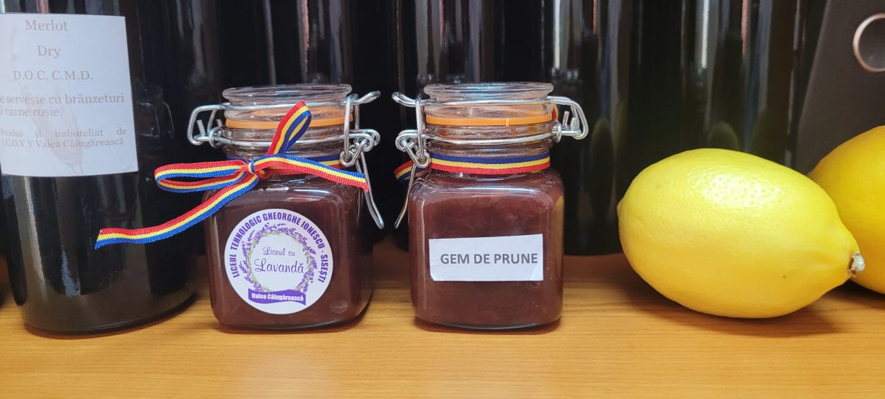 PROCESAREA FRUCTELOR ȘI LEGUMELOR BIO PRIN OBȚINEREA