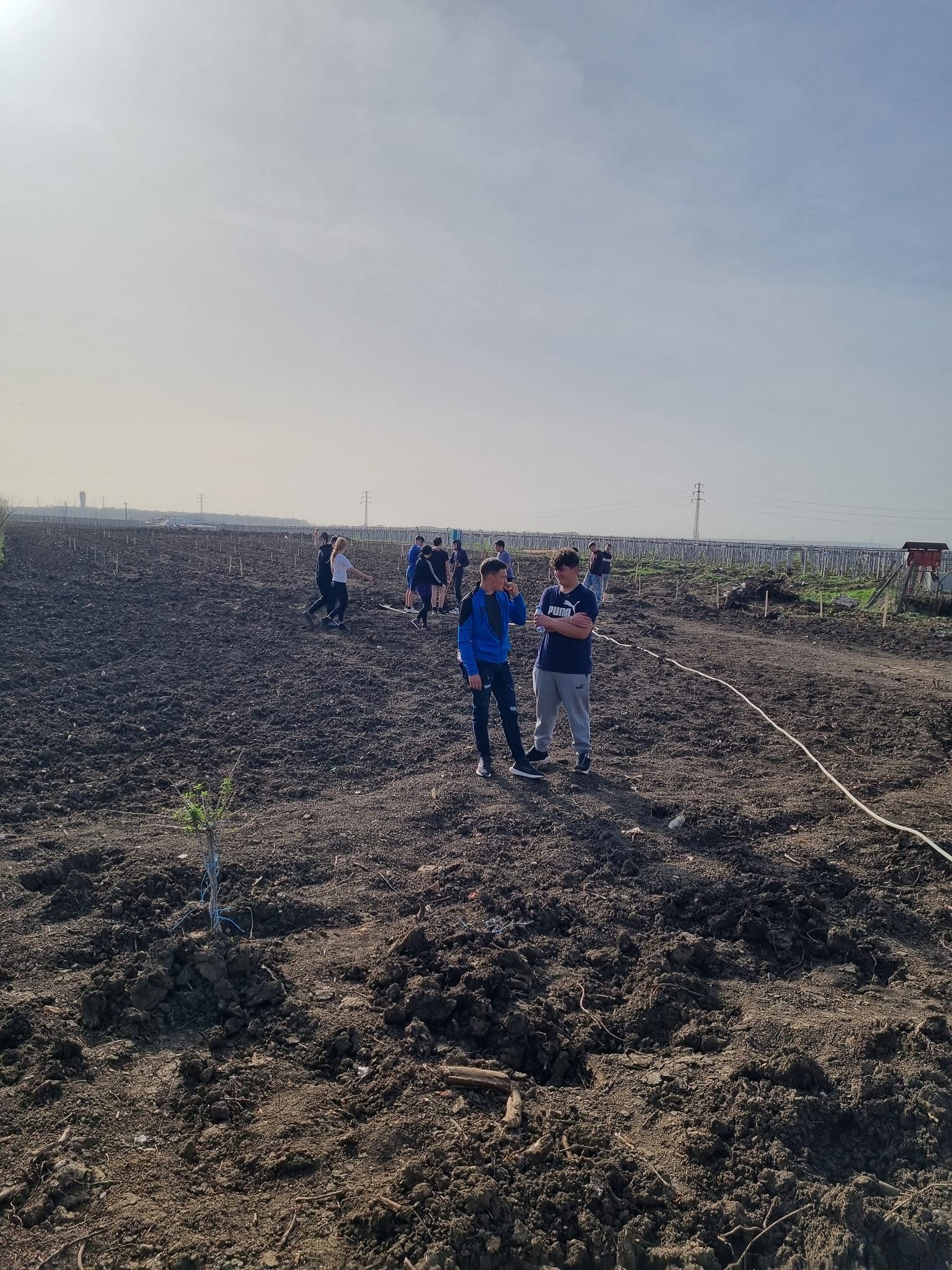 NATURA S-A TREZIT LA VIAȚĂ! IN ACEASTĂ SĂPTĂMÂNĂ AM