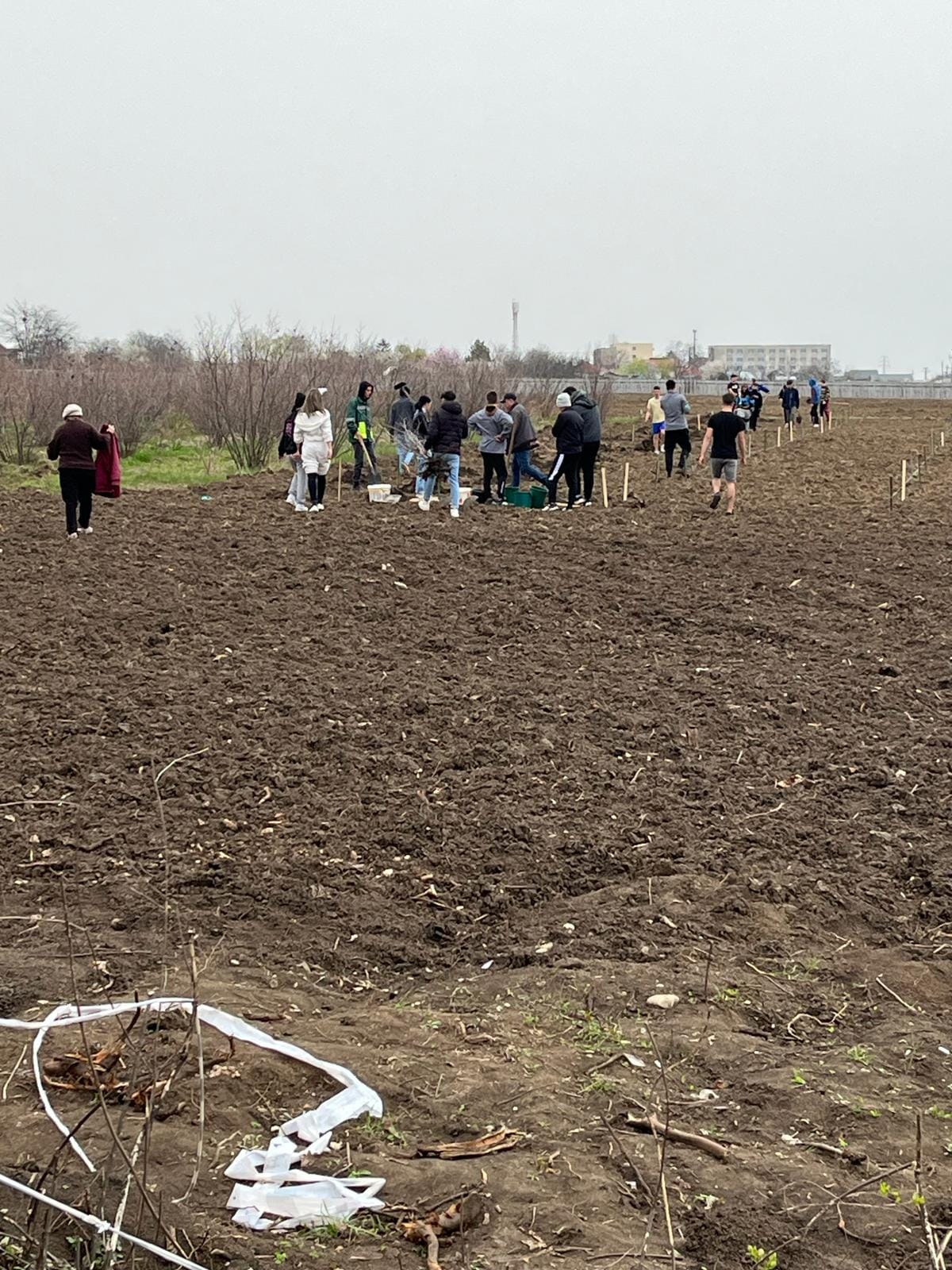 NATURA S-A TREZIT LA VIAȚĂ! IN ACEASTĂ SĂPTĂMÂNĂ AM