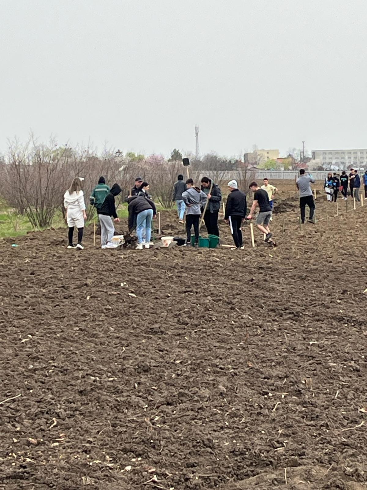 NATURA S-A TREZIT LA VIAȚĂ! IN ACEASTĂ SĂPTĂMÂNĂ AM