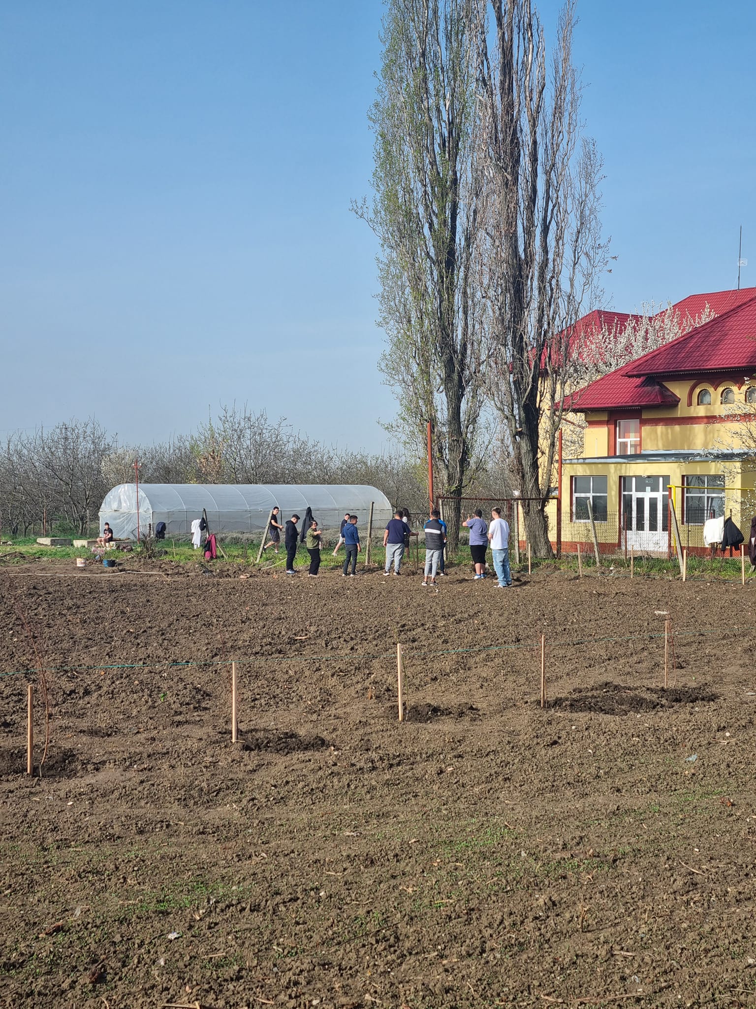 NATURA S-A TREZIT LA VIAȚĂ! IN ACEASTĂ SĂPTĂMÂNĂ AM