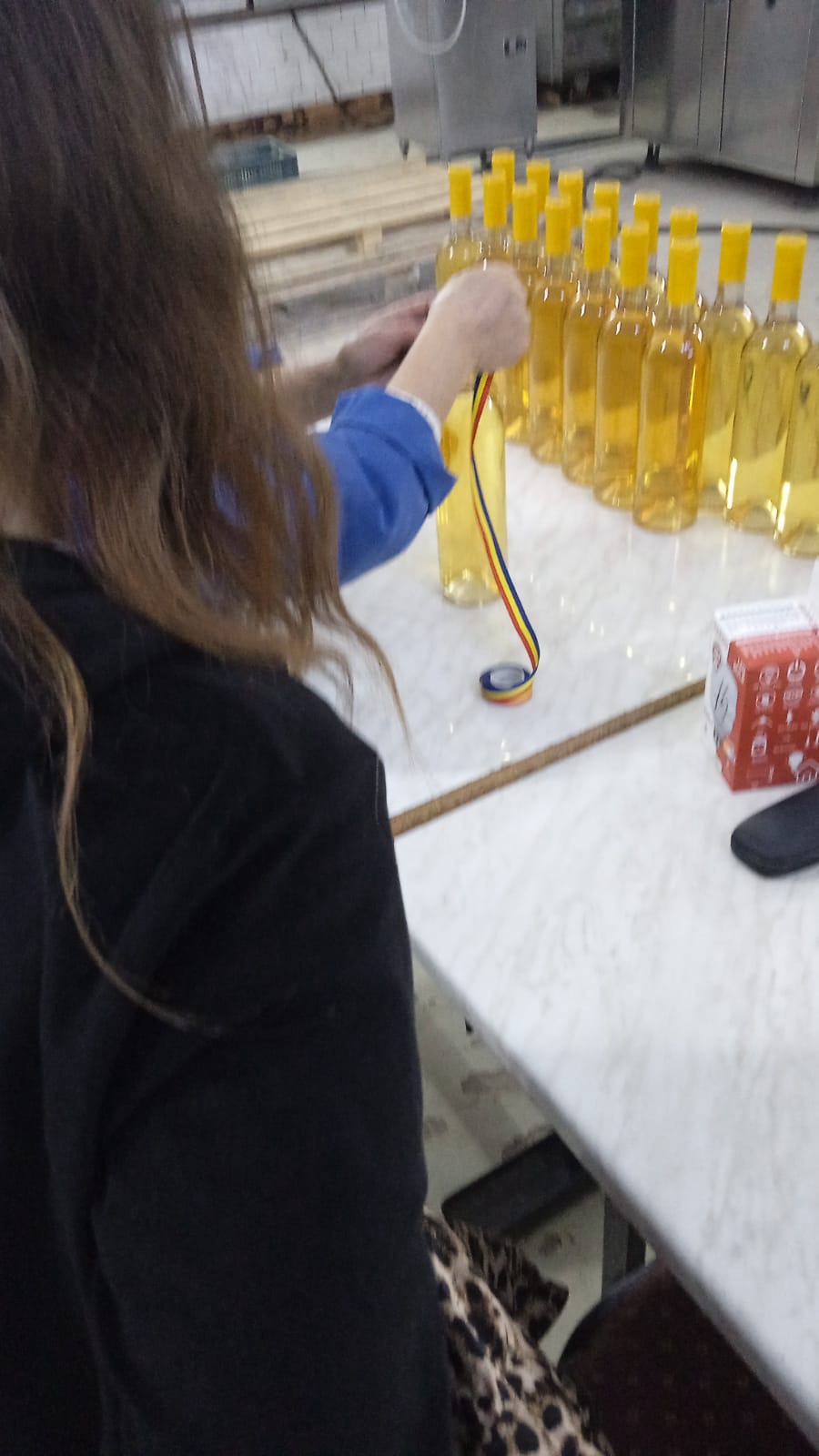 ELEVII NOȘTRI ÎN PRACTICĂ, LA PAS CU VIITORUL!