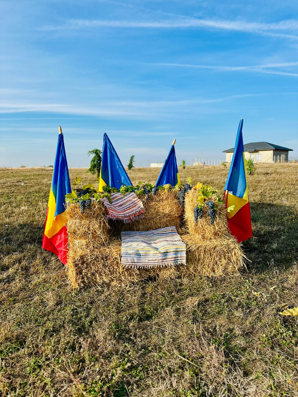 ELEVII LICEULUI TEHNOLOGIC „GHEORGHE IONESCU-ȘIȘEȘTI”