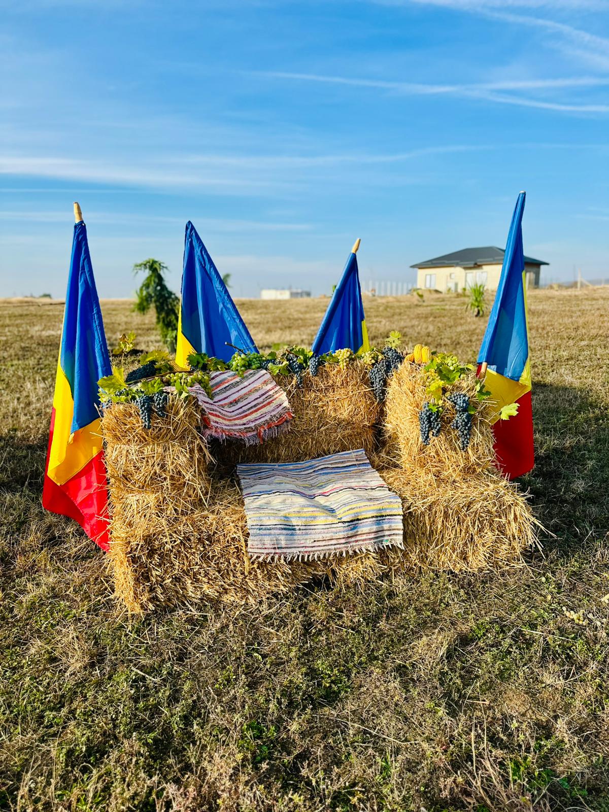 ELEVII LICEULUI TEHNOLOGIC „GHEORGHE IONESCU-ȘIȘEȘTI”