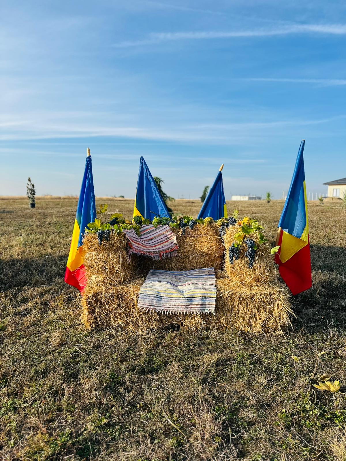 ELEVII LICEULUI TEHNOLOGIC „GHEORGHE IONESCU-ȘIȘEȘTI”