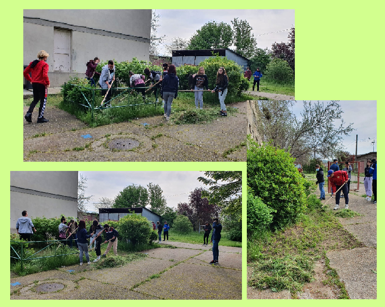 activitate-ecologizare_2